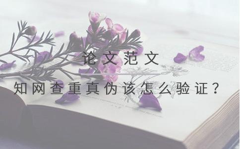 知網查重真偽該怎么驗證