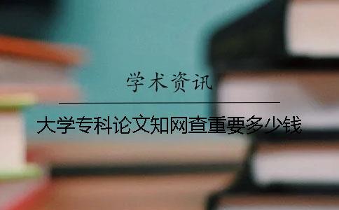 大學專科論文知網查重要多少錢