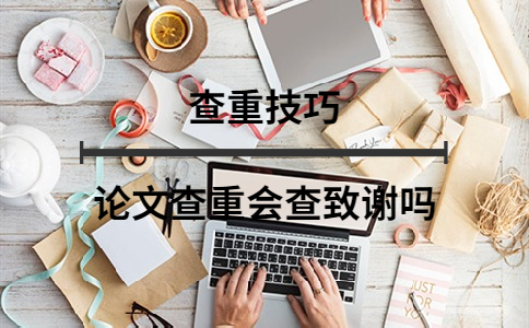 論文查重會查致謝嗎