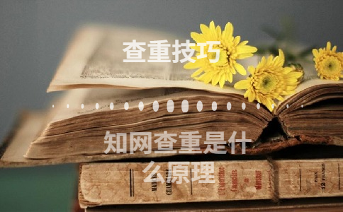 知網查重是什么原理