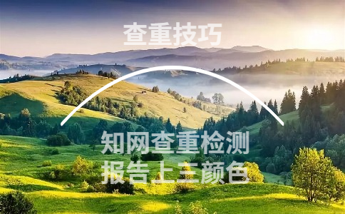 知網查重檢測報告上三種顏色分別是什么意思
