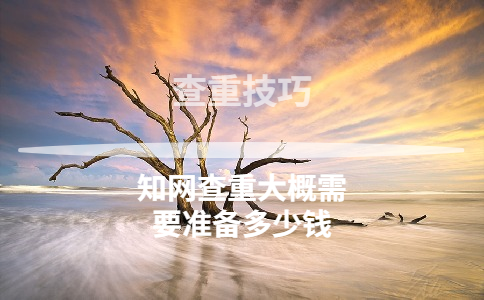 知網查重大概需要準備多少錢