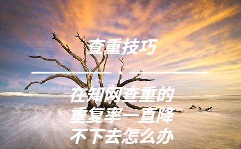在知網查重的重復率一直降不下去怎么辦啊