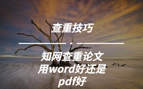 知網查重論文用word好還是pdf好
