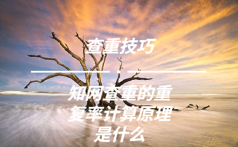 知網查重的重復率計算原理是什么