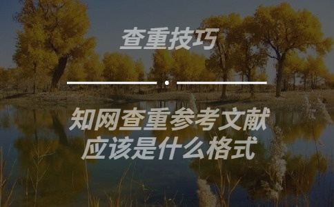 知網查重參考文獻應該是什么格式