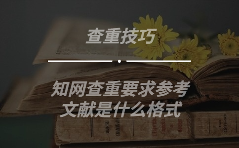 知網查重要求參考文獻是什么格式