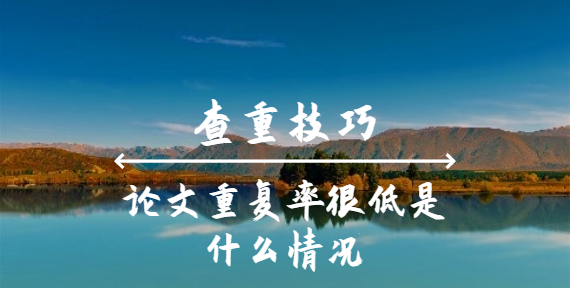 論文重復率很低是什么情況