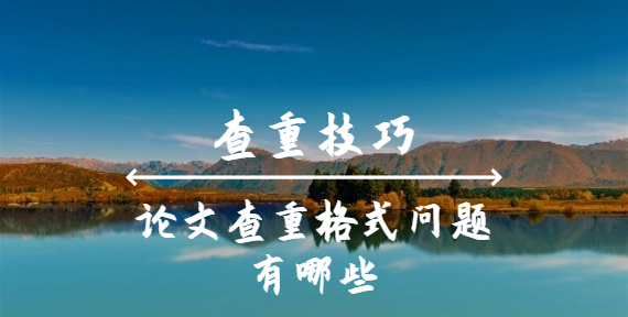 論文查重格式問題有哪些