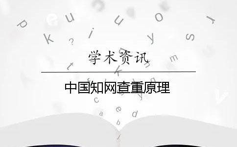 中國知網查重原理