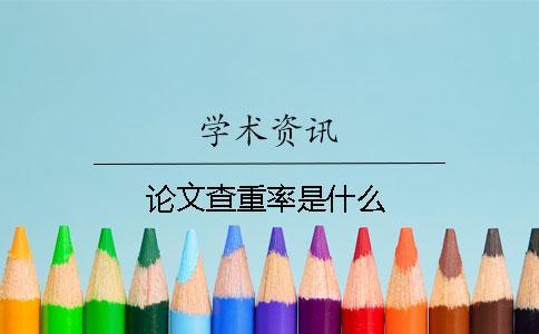 論文查重率是什么