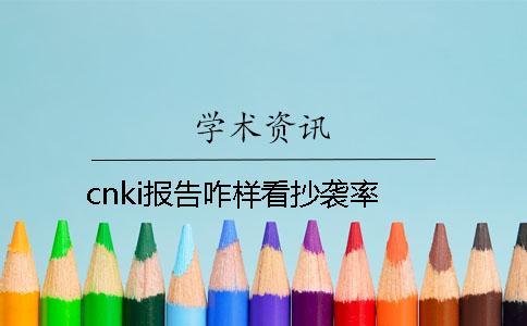 cnki報告咋樣看抄襲率？