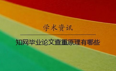 知網(wǎng)畢業(yè)論文查重原理有哪些