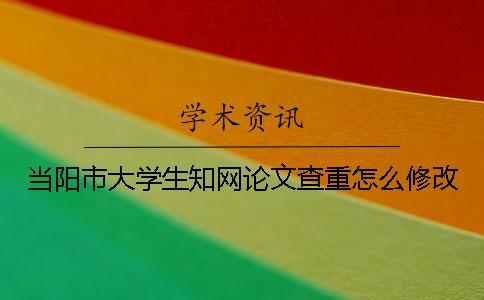 當(dāng)陽市大學(xué)生知網(wǎng)論文查重怎么修改