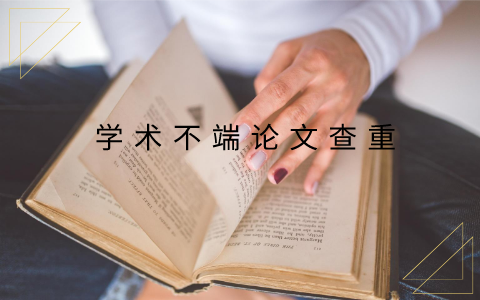論文查重率28好不好？(圖1)